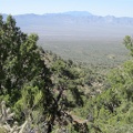 The hills between Cottonwood Spring and Cabin Springs are high enough to provide great views