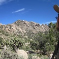 That rock outcrop on the ridge line at far left looks like a hawk's head