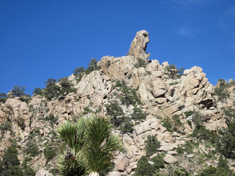  I keep looking at the hawk-head rock formation as I walk past the hills near Cabin Springs