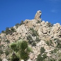  I keep looking at the hawk-head rock formation as I walk past the hills near Cabin Springs