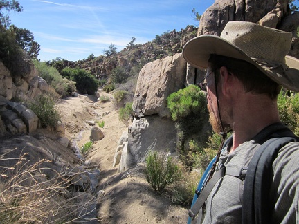  I arrive at a stream flowing down from Cabin Springs and follow it for a short distance