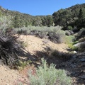  It's past 16h30 now, and I realize I have to climb up over the ridge and skip a side trip to Live Oak Spring