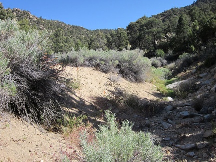  It's past 16h30 now, and I realize I have to climb up over the ridge and skip a side trip to Live Oak Spring