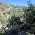 The hill above Cabin Springs that I need to climb is fairly steep