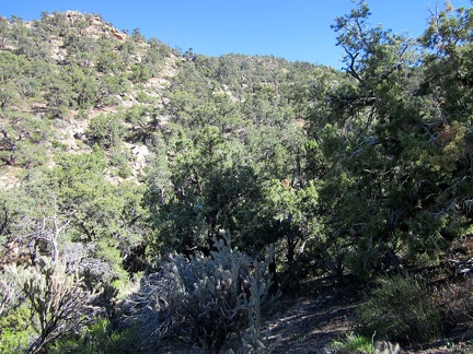 The hill above Cabin Springs that I need to climb is fairly steep