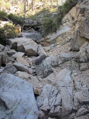 More rocks, and even a few old fallen trees, to climb over on the way up the hill above Cabin Springs