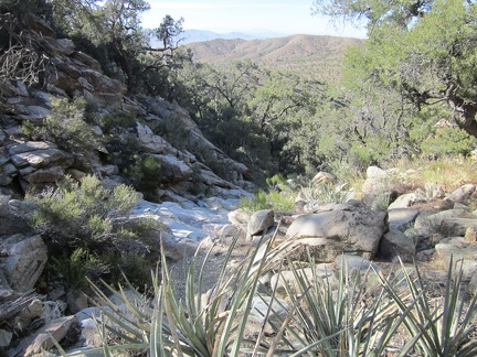 As I reach the top of a rock staircase above Cabin Springs, the views begin to open up behind me