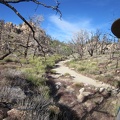  I cross over to another small drainage, then follow it uphill a short distance