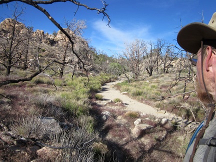  I cross over to another small drainage, then follow it uphill a short distance