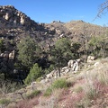 The wash I'm following enters a semi-moist, shady area, so I climb up out onto the hill alongside it; where to go next...