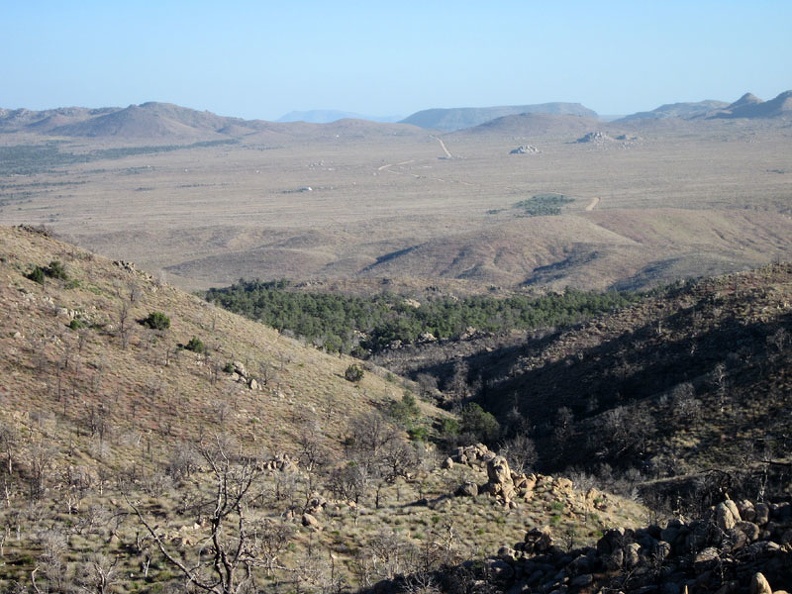 I find myself on a open area of the New York Mountains from which my eyes can follow Black Canyon Road across Round Valley