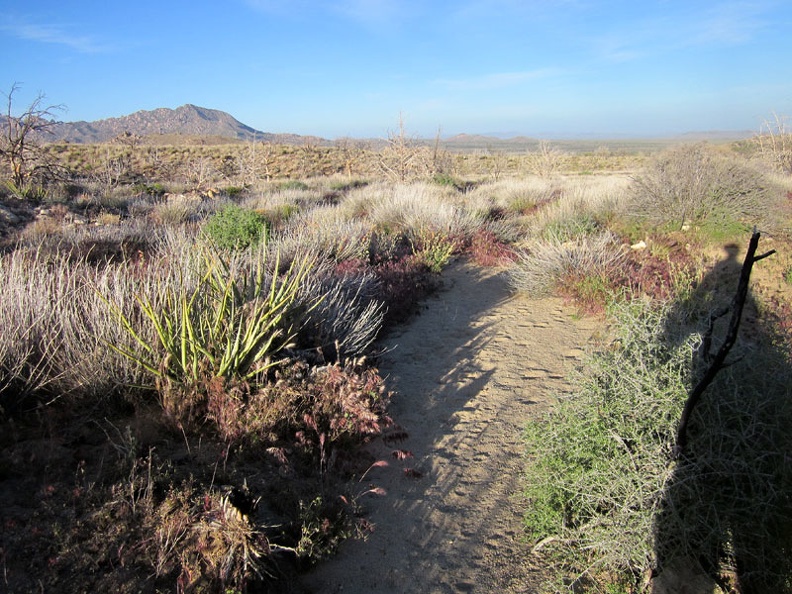 I'm almost back to Pinto Valley, but not the part where I want to be (Bathtub Spring)