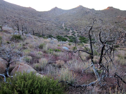 I start my final descent for the day, into the little valley where I should find Bathtub Spring