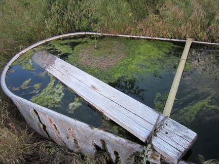 Despite some algae, the water quality here at Bathtub Spring is quite good this year, but my MSR water filter is having problems