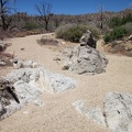 No human footprints are found in this sandy wash as I continue my hike up into the New York Mountains