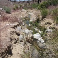 I continue walking up the wash and am amazed when I reach a small stream