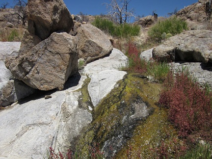 A thin cascade of water flows over the rocks in this unnamed New York Mountains stream