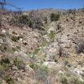 I decide to climb up out of the wash onto the ridge at my left for easier hiking