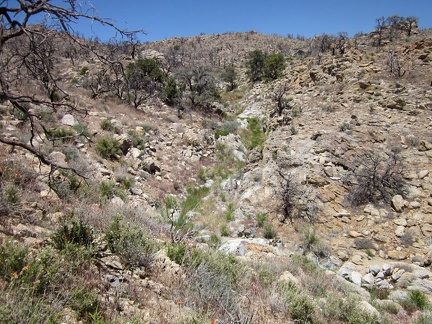 I decide to climb up out of the wash onto the ridge at my left for easier hiking