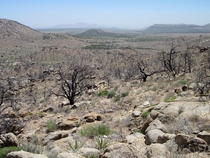 I take a look behind me to see that I'm quite a few feet above Pinto Valley now