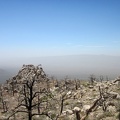I'm high enough now to see all the way across the west end of Ivanpah Valley