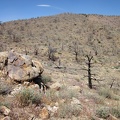 I hike up the rather barren hill toward the overlook above the Cliff Canyon Spring area
