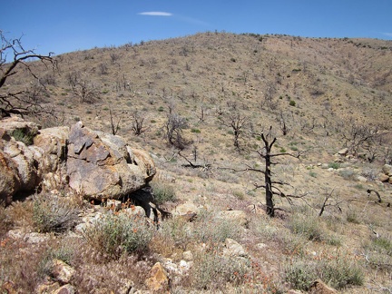 I hike up the rather barren hill toward the overlook above the Cliff Canyon Spring area