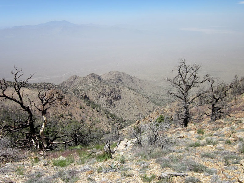 I reach Cliff Canyon Spring Peak #1 and take in the views from just under 6500 feet