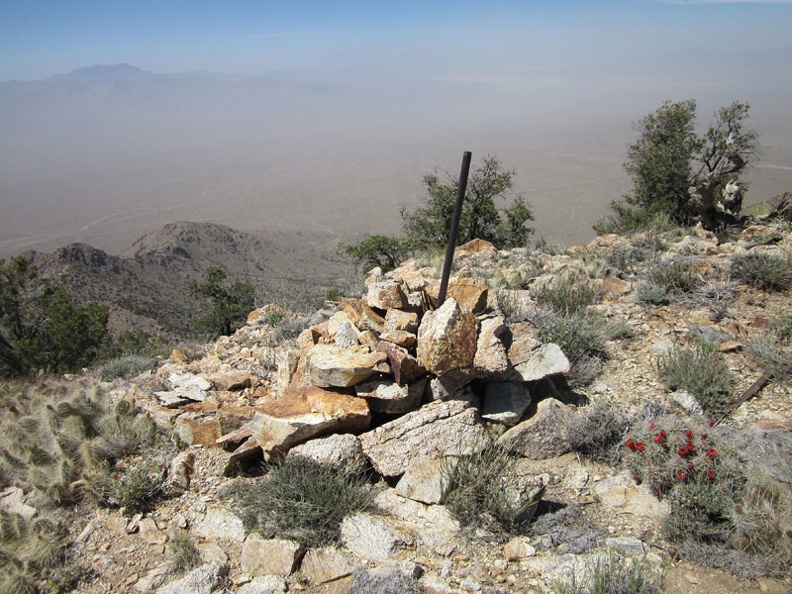 Up on Cliff Canyon Spring Peak #2 at about 6550 feet elevation is a claim marker and lots of low-growing cacti