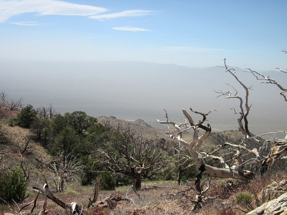 These burned tree skeletons near Cliff Canyon Spring Peak #2 don't care much about the strong winds up here!
