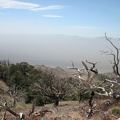 These burned tree skeletons near Cliff Canyon Spring Peak #2 don't care much about the strong winds up here!