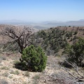 Looking back toward my Pinto Valley campsite, I see a whole hillside that escaped the 2005 brush fires