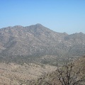 I keep looking across upper Fourth of July Canyon at the New York Mountains peaks