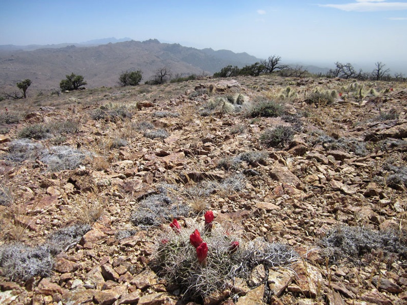 5913-cliff-canyon-peaks.jpg