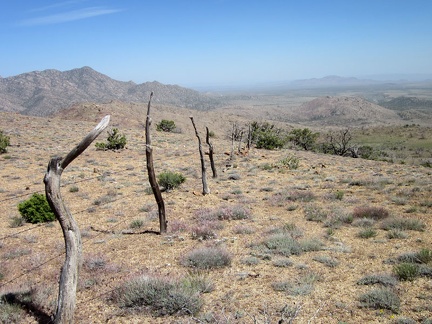I decide to follow the old range fence for a while as I start my way back down to Pinto Valley