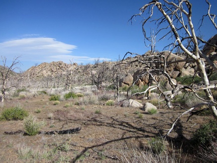 I decide to go climb a few boulders over on the nearby rock pile