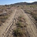 As I get closer to my tent, I notice my tire tracks and footprints from the past few days here in Pinto Valley