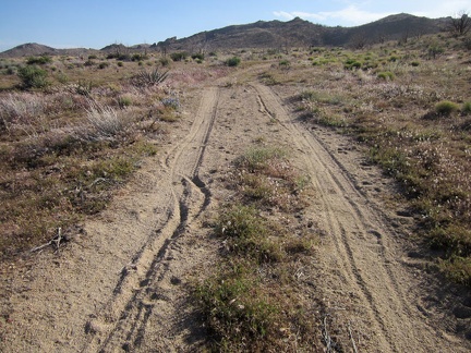 As I get closer to my tent, I notice my tire tracks and footprints from the past few days here in Pinto Valley