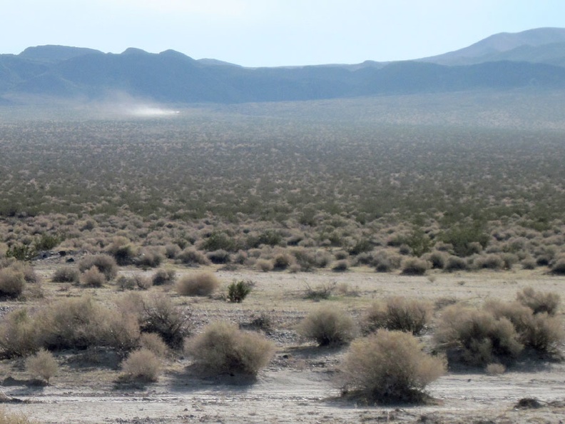 I see another motor-created dust cloud traversing the desert in front of the Rodman Mountains Wilderness Area