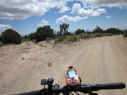 I turn off on an unnamed road, which I'll call the Sagamore Canyon Cut-Off, and leave the better New York Mountains Road behind