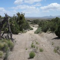 The Sagamore Canyon Cut-Off Road passes through a stand of juniper trees as it begins its gentle descent