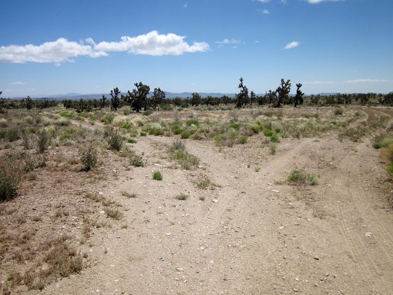 I reach a junction on the five-mile-long Sagamore Canyon Cut-Off Road