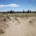I reach a junction on the five-mile-long Sagamore Canyon Cut-Off Road