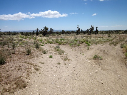 I reach a junction on the five-mile-long Sagamore Canyon Cut-Off Road