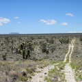 Looking back behind me, I can see all the way across Lanfair Valley to flat-topped Table Mountain