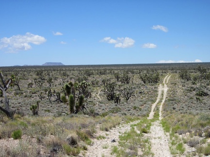 Looking back behind me, I can see all the way across Lanfair Valley to flat-topped Table Mountain