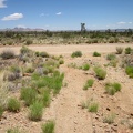 My five-mile ride across the Sagamore Canyon Cut-Off road comes to an end when I reach the bigger Ivanpah Road