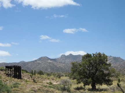  I walk over to that old headframe, or whatever it is, with the New York Mountains backdrop