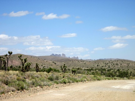 I return to the task of riding back to Primm, Nevada and have views of the Castle Peaks from this part of Ivanpah Road