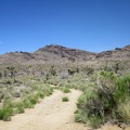 I pause briefly along Ivanpah Road when I pass the dirt track leading up to Bathtub Spring, where I hiked on day 6